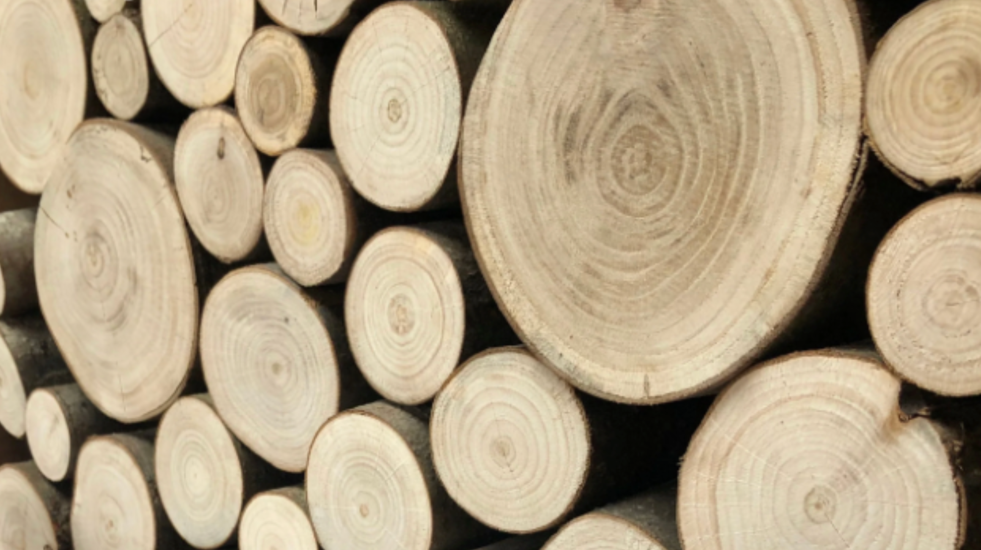 The Complete Guide to Decorating with Firewood Logs