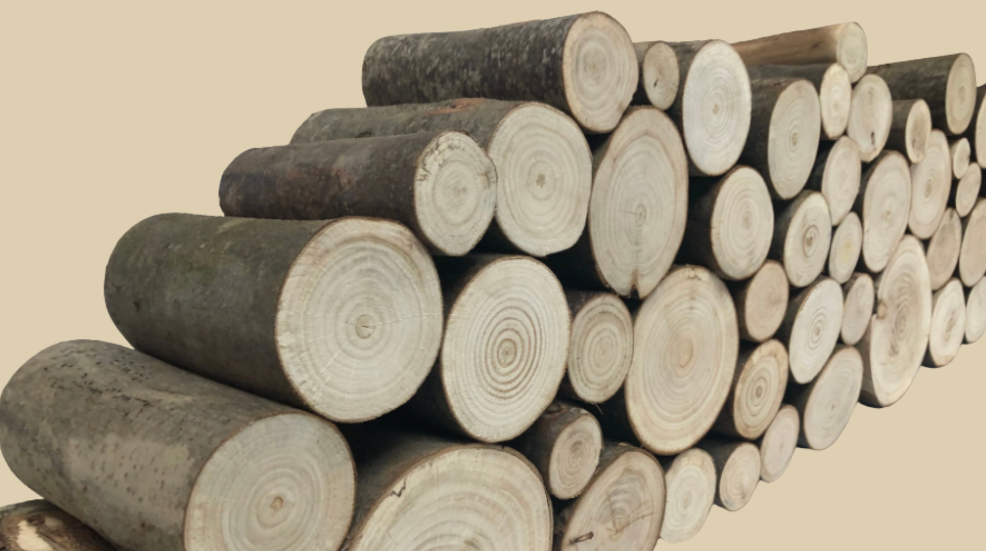 Creating a Seasonal Display with Decorative Logs